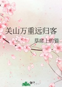 关山万重远归客